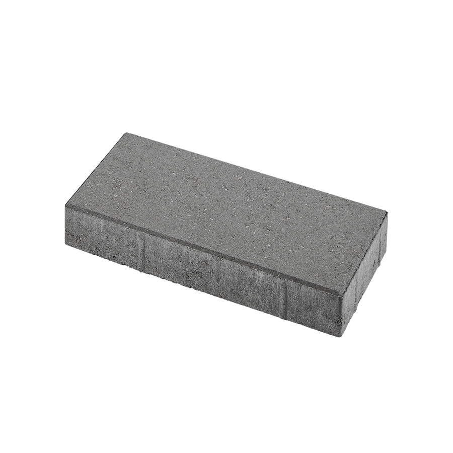 Platten 20x40x8 cm Grau