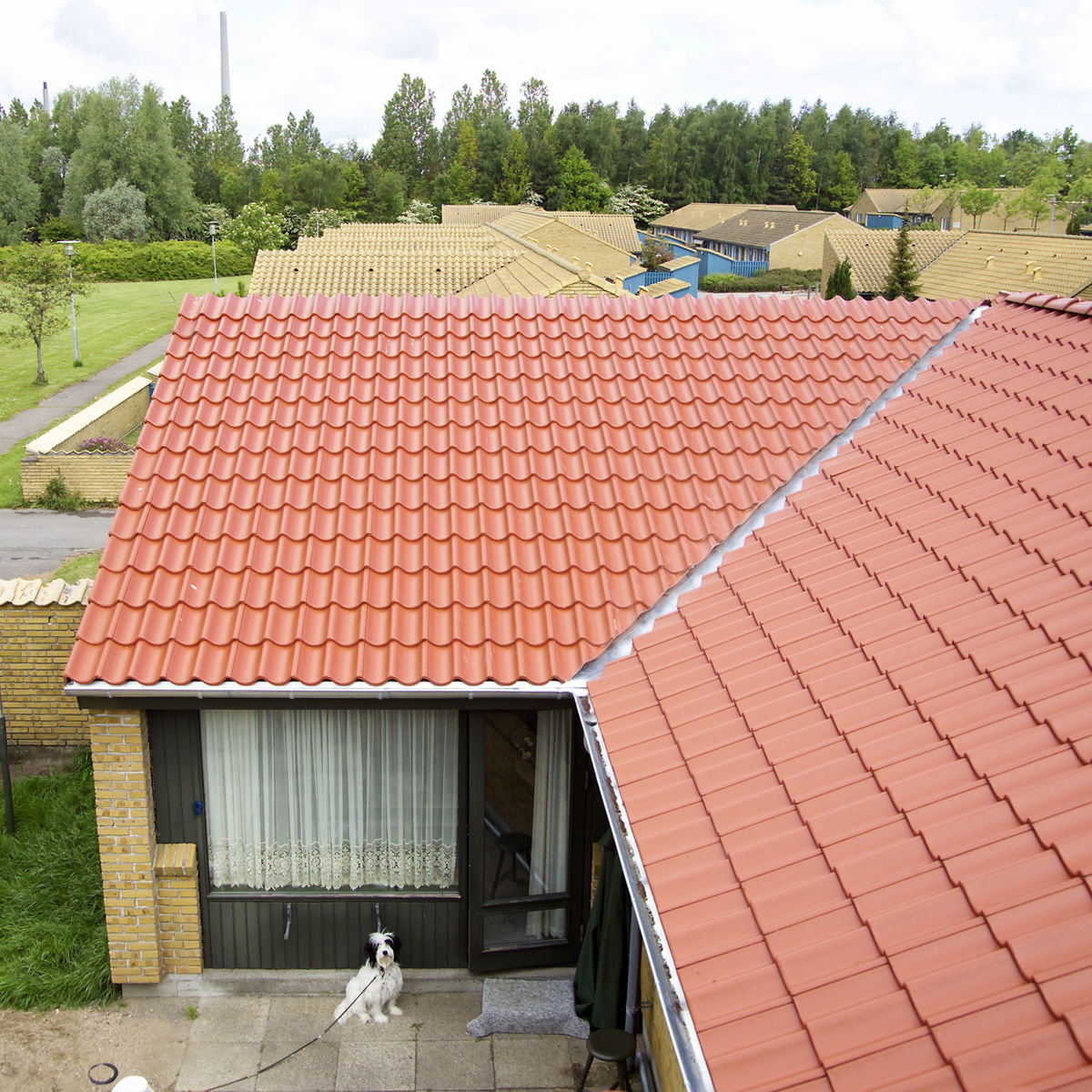 Vinge Økonomi rød Vinge Økonomi rød